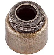 2222435000 EE1905 Колпачок маслосъемный Porter QML