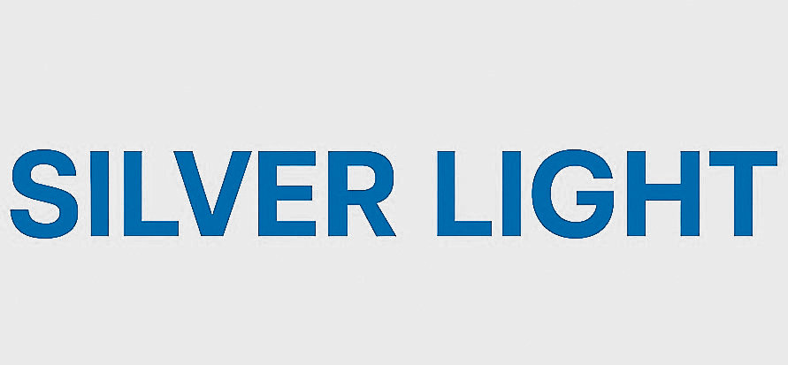 SILVER LIGHT - производитель автозапчастей
